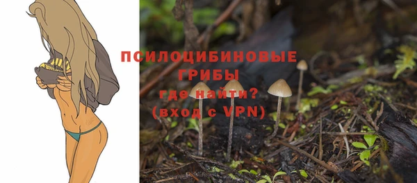 дмт Козельск