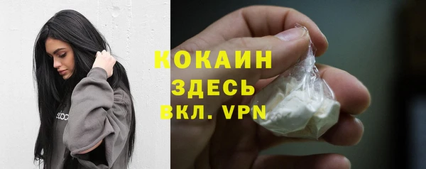 дмт Козельск