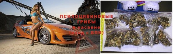 мет Кодинск