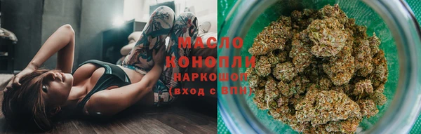 дмт Козельск