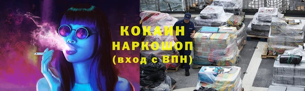 дмт Козельск