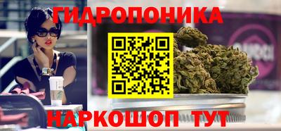 ALPHA PVP Ярославль