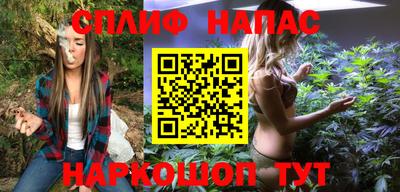 ALPHA PVP Ярославль