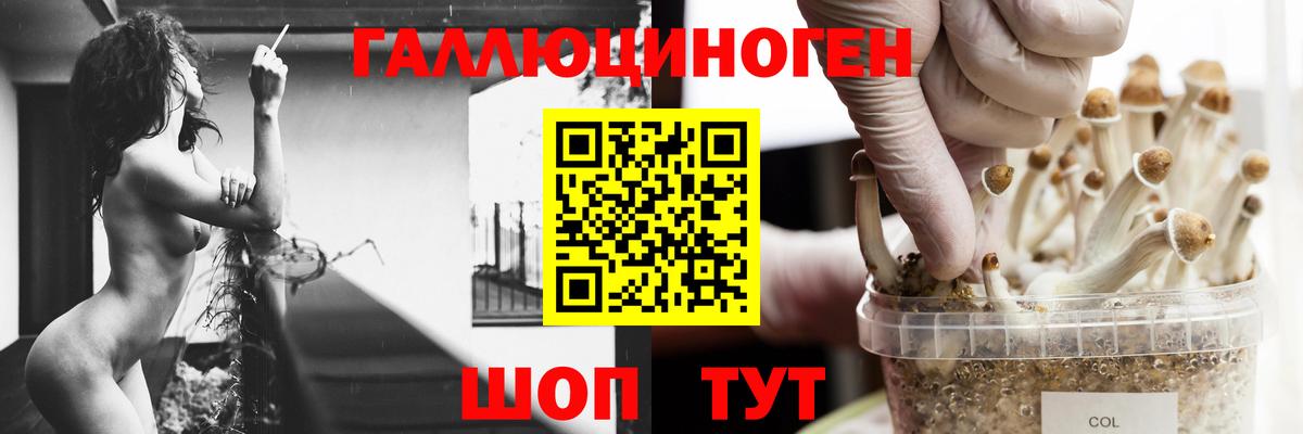 Псилоцибиновые грибы прущие грибы Осинники