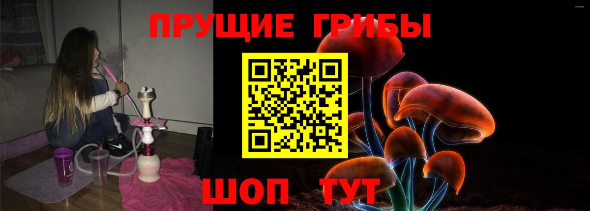 Псилоцибиновые грибы мицелий  Вход с VPN  Осинники 